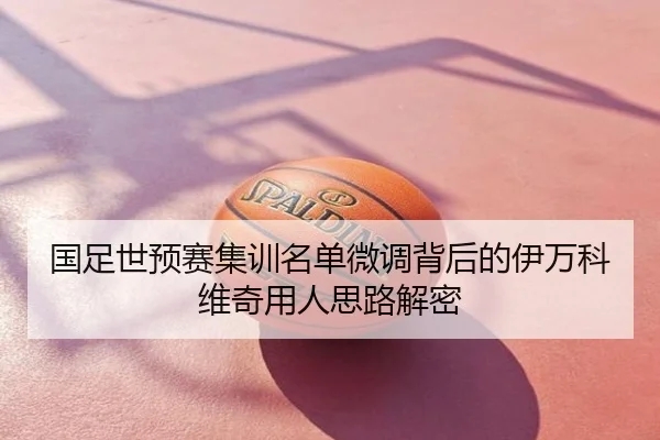 国足世预赛集训名单微调背后的伊万科维奇用人思路解密